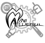 Miniatelierul de Dinti